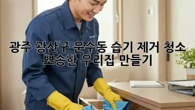 ☔️ 광주 광산구 운수동 습기 제거 청소, 뽀송한 우리집 만들기 ✨