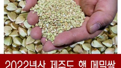 놓치면 손해! 😋 메밀쌀국산 초특가 후기 & 꿀팁 대방출!